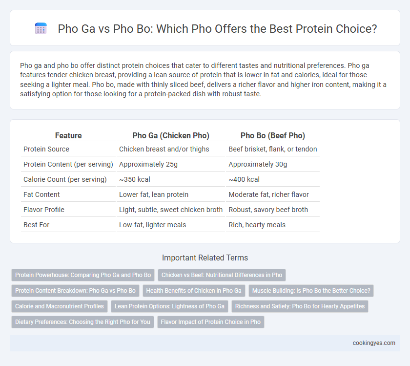 Pho Ga vs Pho Bo: Which Pho Offers the Best Protein Choice?