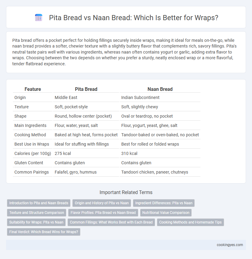 Pita Bread vs Naan Bread: Which Is Better for Wraps?
