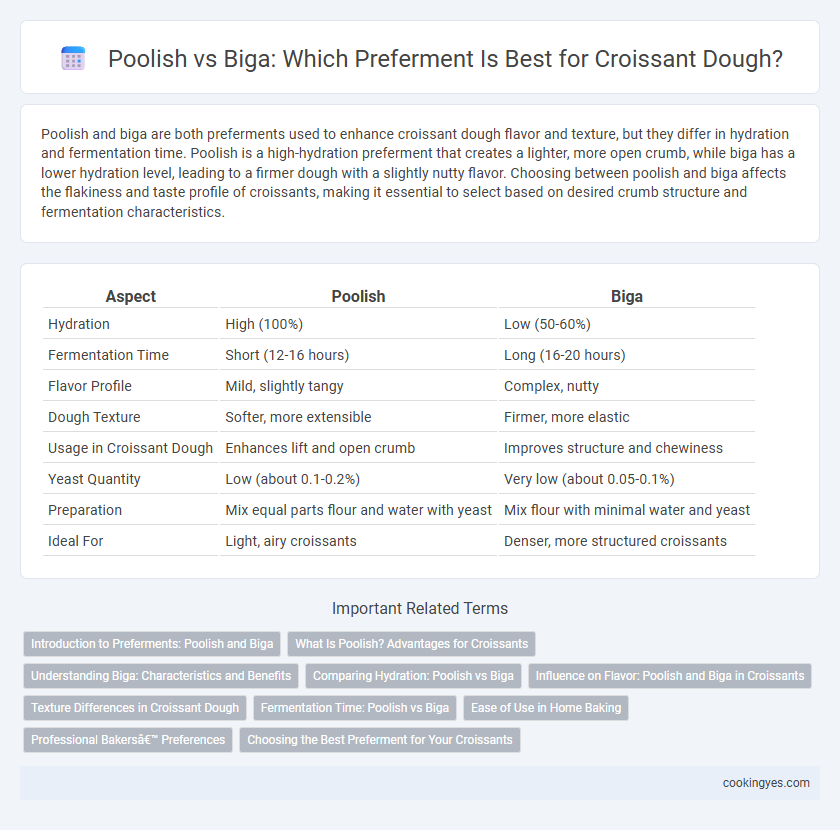 Poolish vs Biga: Which Preferment Is Best for Croissant Dough?