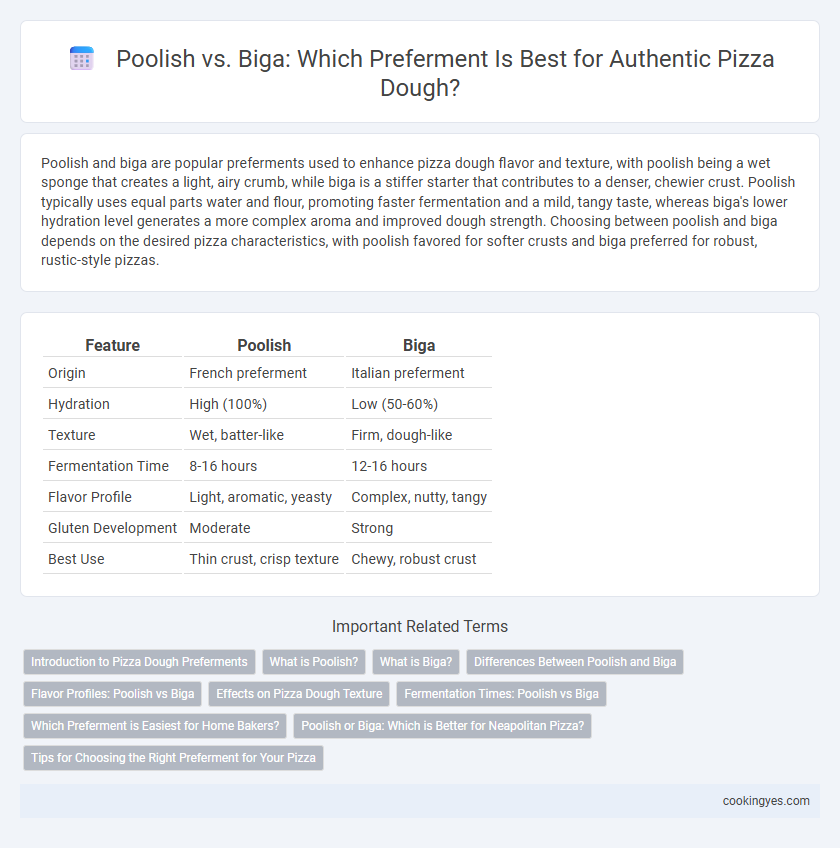 Poolish vs. Biga: Which Preferment Is Best for Authentic Pizza Dough?