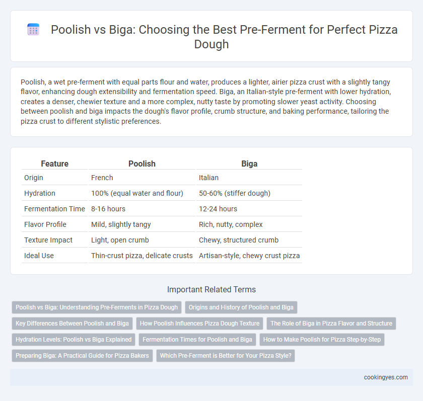 Poolish vs Biga: Choosing the Best Pre-Ferment for Perfect Pizza Dough