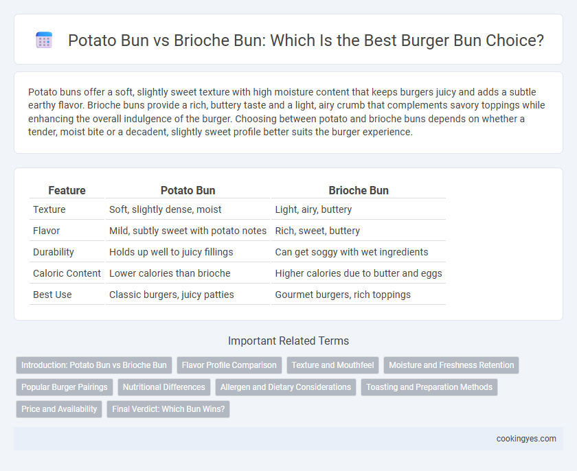 Potato Bun vs Brioche Bun: Which Is the Best Burger Bun Choice?
