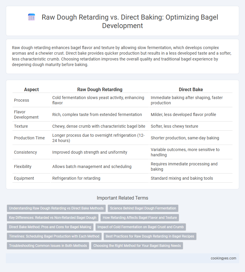 Raw Dough Retarding vs. Direct Baking: Optimizing Bagel Development