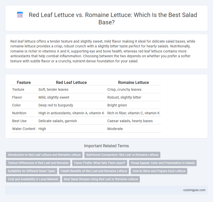 Red Leaf Lettuce vs. Romaine Lettuce: Which Is the Best Salad Base?