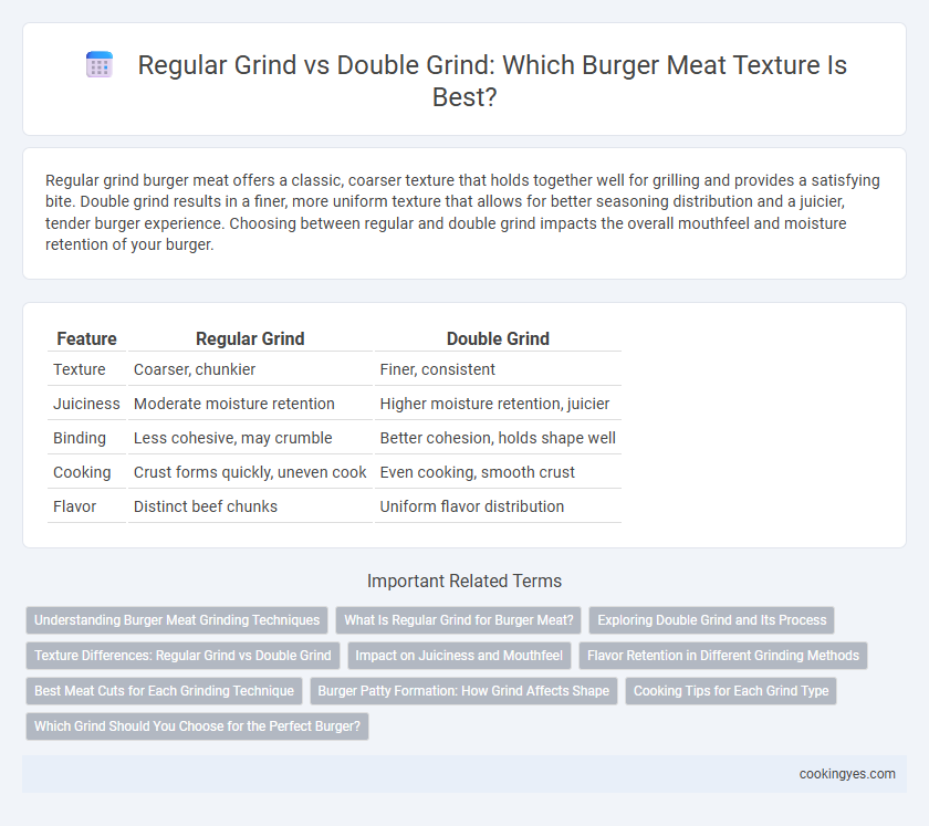 Regular Grind vs Double Grind: Which Burger Meat Texture Is Best?