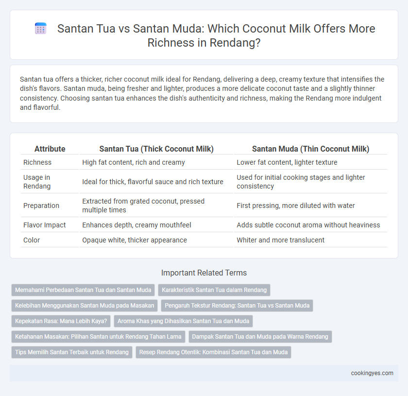 Santan Tua vs Santan Muda: Which Coconut Milk Offers More Richness in Rendang?
