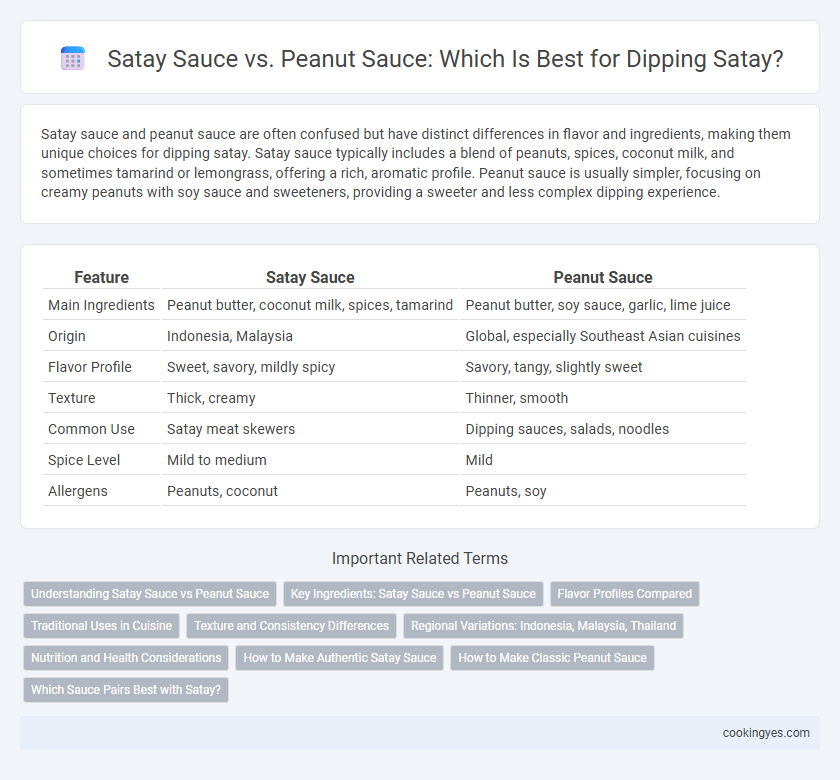 Satay Sauce vs. Peanut Sauce: Which Is Best for Dipping Satay?