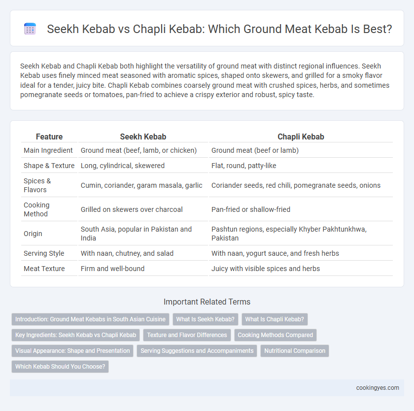 Seekh Kebab vs Chapli Kebab: Which Ground Meat Kebab Is Best?