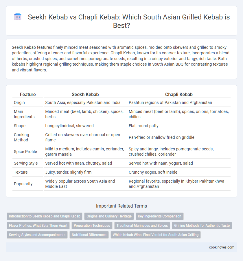 Seekh Kebab vs Chapli Kebab: Which South Asian Grilled Kebab is Best?