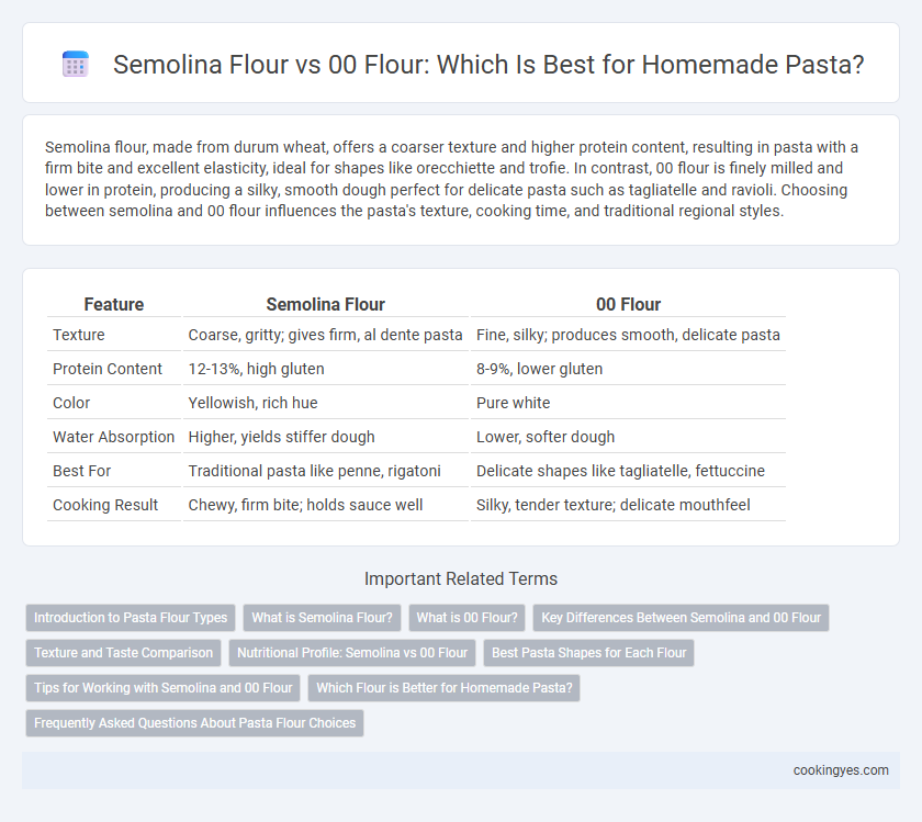 Semolina Flour vs 00 Flour: Which Is Best for Homemade Pasta?