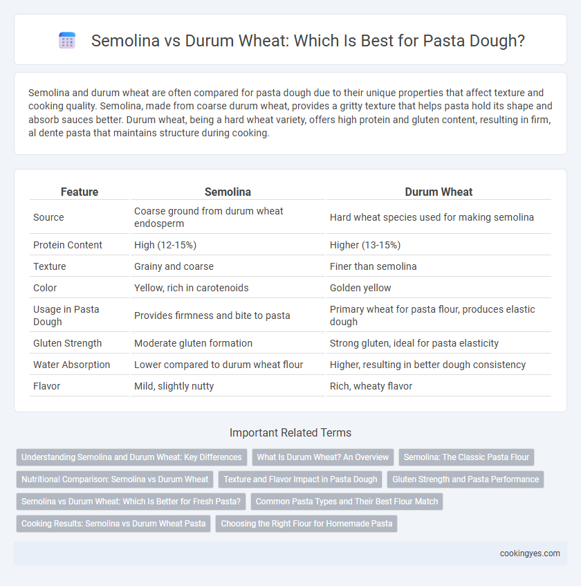 Semolina vs Durum Wheat: Which Is Best for Pasta Dough?