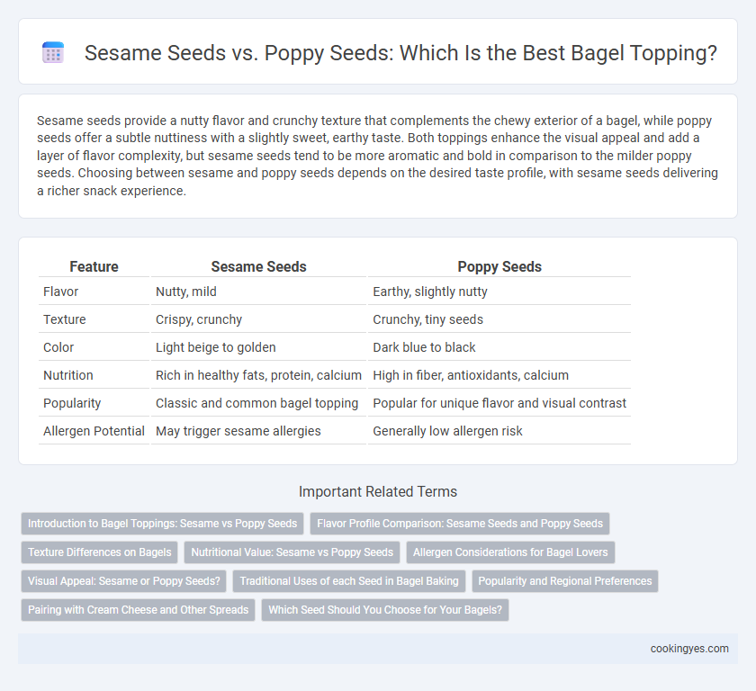 Sesame Seeds vs. Poppy Seeds: Which Is the Best Bagel Topping?