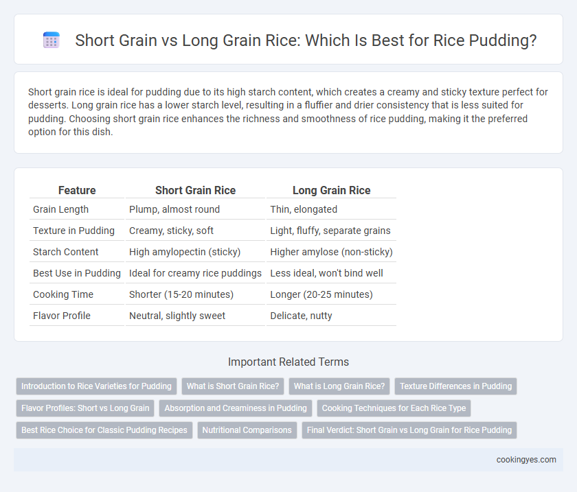 Short Grain vs Long Grain Rice: Which Is Best for Rice Pudding?