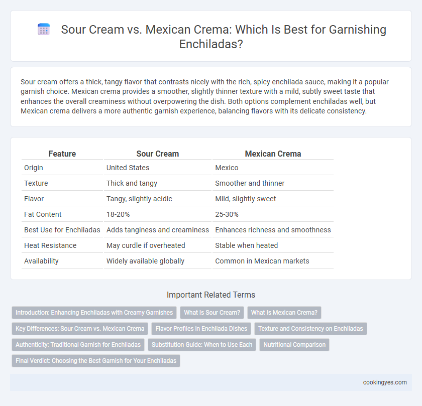Sour Cream vs. Mexican Crema: Which Is Best for Garnishing Enchiladas?