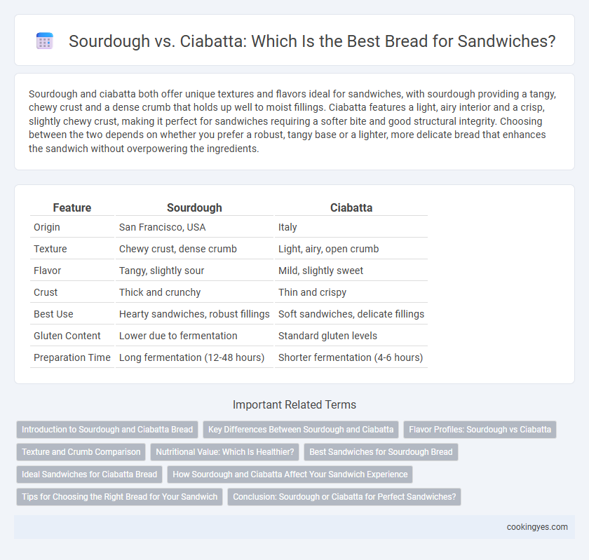 Sourdough vs. Ciabatta: Which Is the Best Bread for Sandwiches?