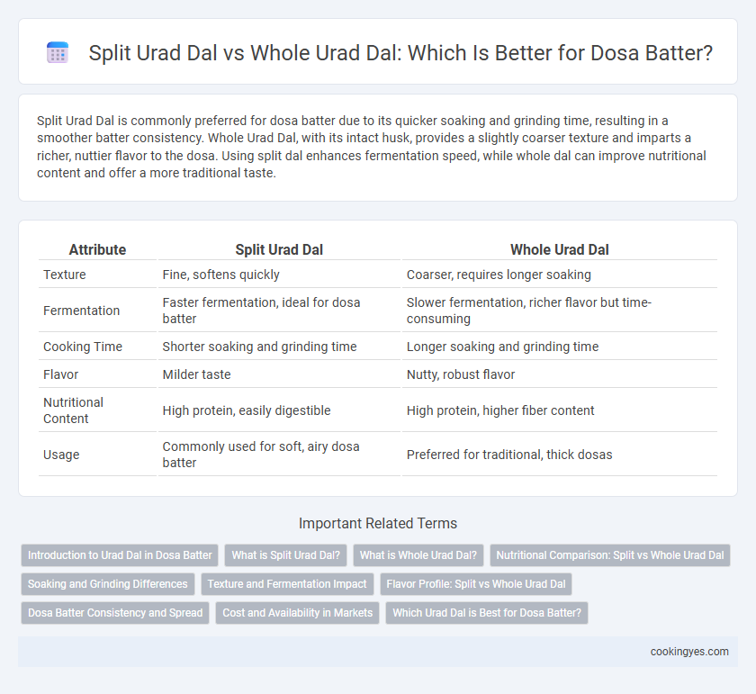 Split Urad Dal vs Whole Urad Dal: Which Is Better for Dosa Batter?