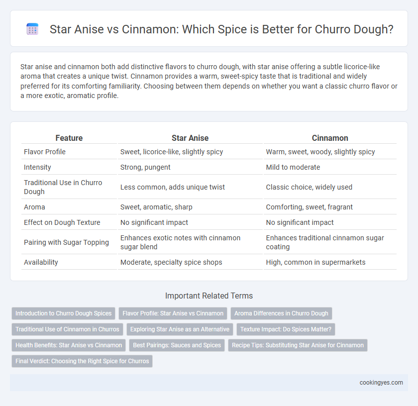 Star Anise vs Cinnamon: Which Spice is Better for Churro Dough?