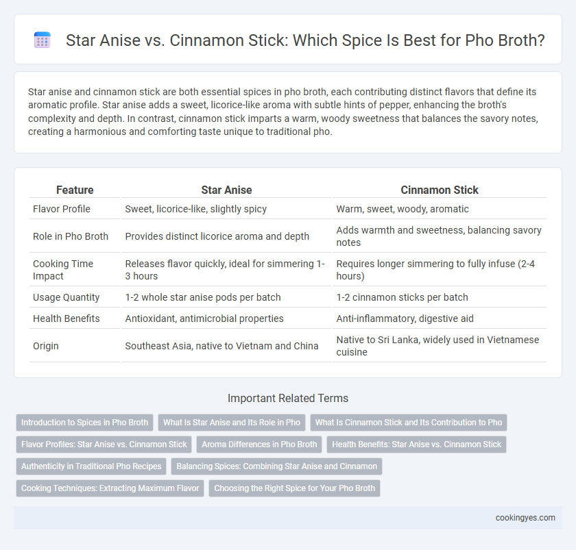 Star Anise vs. Cinnamon Stick: Which Spice Is Best for Pho Broth?