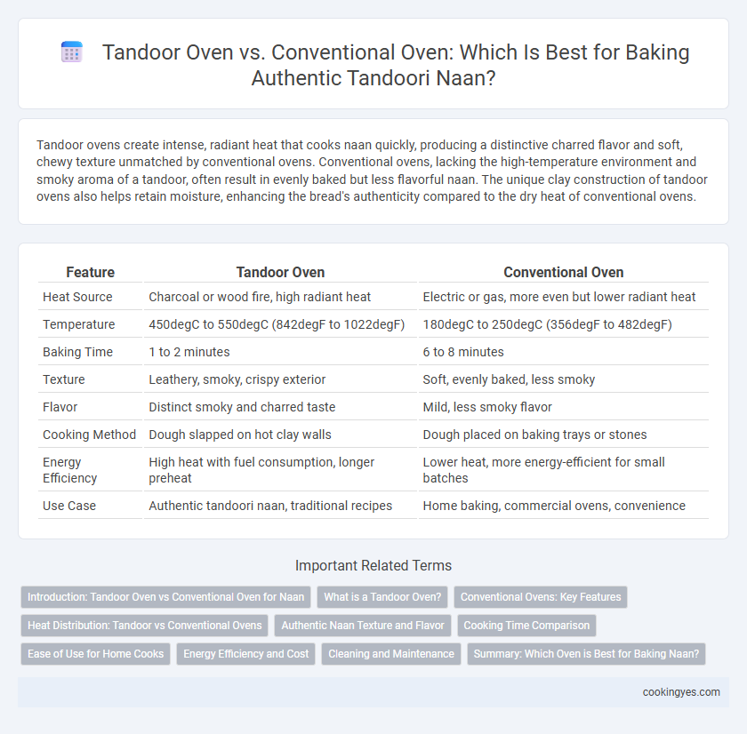 Tandoor Oven vs. Conventional Oven: Which Is Best for Baking Authentic Tandoori Naan?