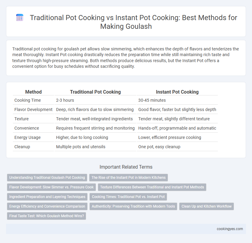 Traditional Pot Cooking vs Instant Pot Cooking: Best Methods for Making Goulash