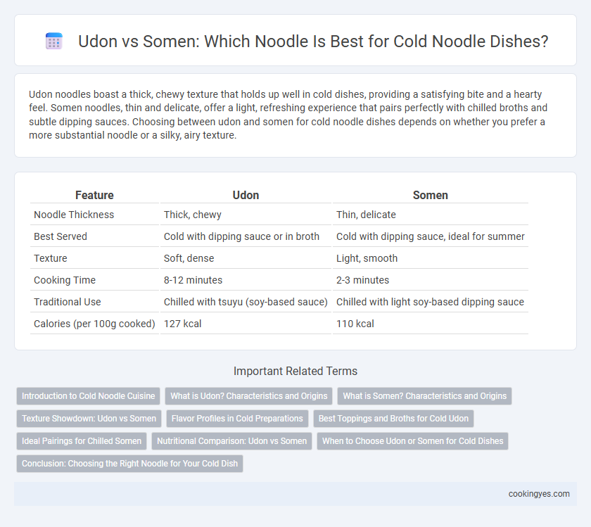 Udon vs Somen: Which Noodle Is Best for Cold Noodle Dishes?