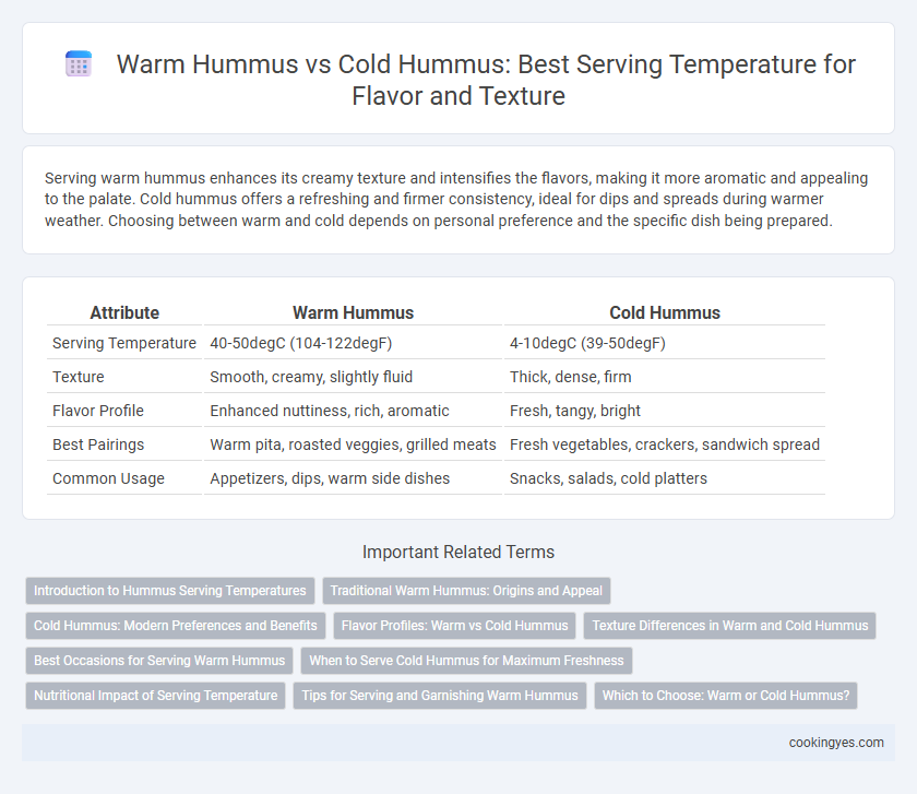 Warm Hummus vs Cold Hummus: Best Serving Temperature for Flavor and Texture