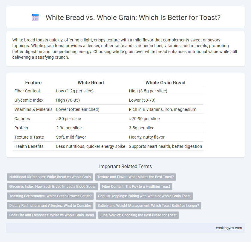 White Bread vs. Whole Grain: Which Is Better for Toast?