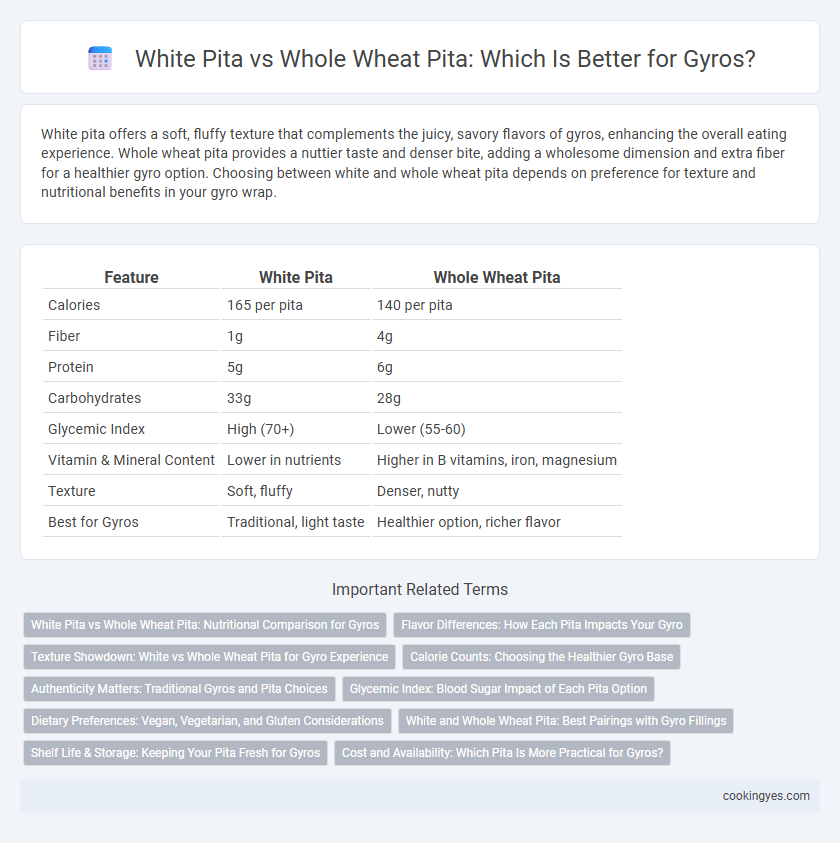 White Pita vs Whole Wheat Pita: Which Is Better for Gyros?