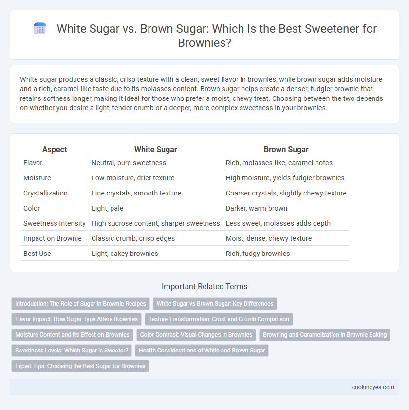 White Sugar vs. Brown Sugar: Which Is the Best Sweetener for Brownies?
