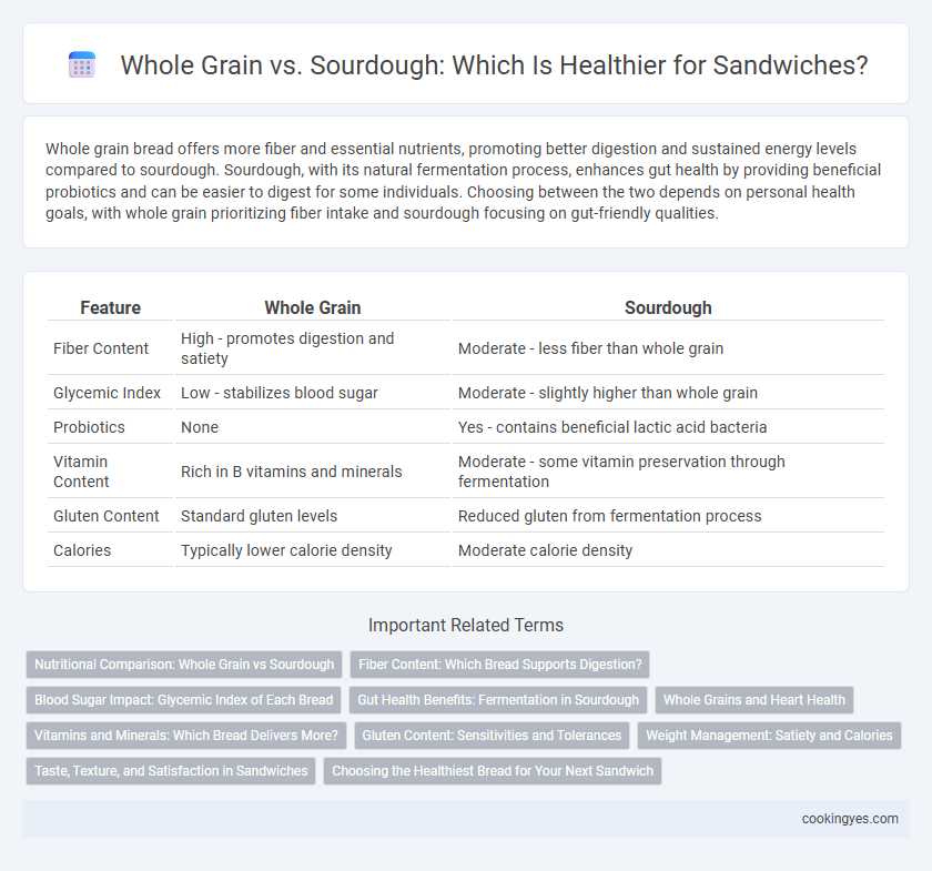 Whole Grain vs. Sourdough: Which Is Healthier for Sandwiches?