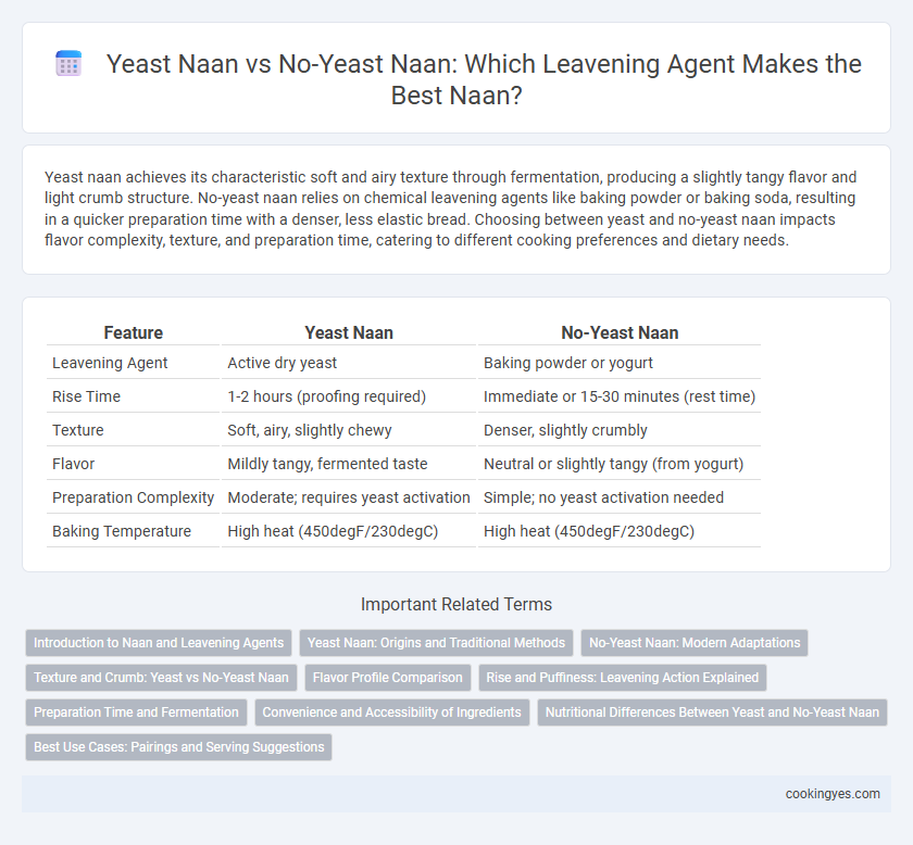 Yeast Naan vs No-Yeast Naan: Which Leavening Agent Makes the Best Naan?