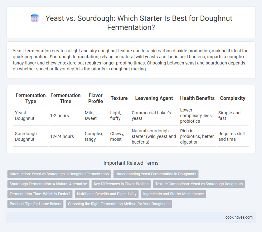 Yeast vs. Sourdough: Which Starter Is Best for Doughnut Fermentation?