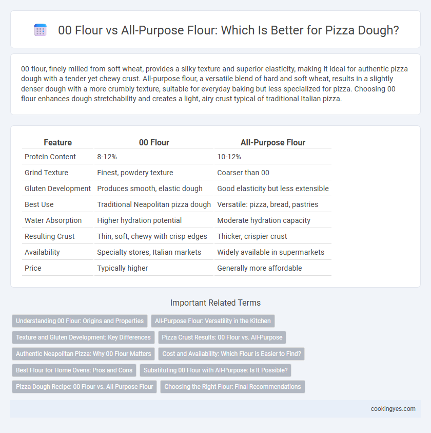 00 Flour vs All-Purpose Flour: Which Is Better for Pizza Dough?