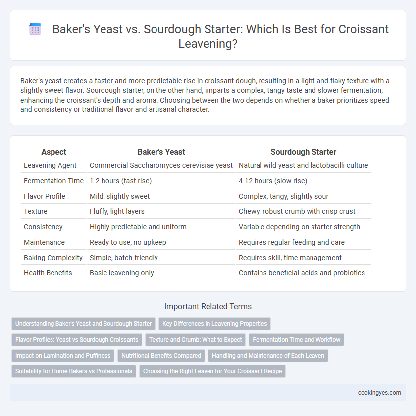 Baker's Yeast vs. Sourdough Starter: Which Is Best for Croissant Leavening?