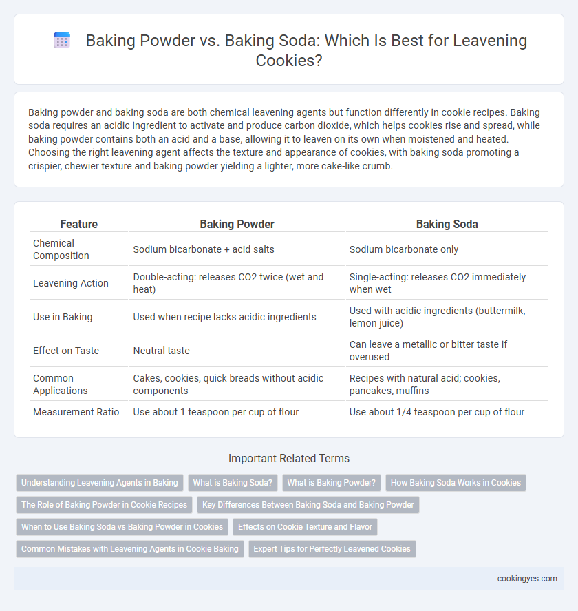 Baking Powder vs. Baking Soda: Which Is Best for Leavening Cookies?