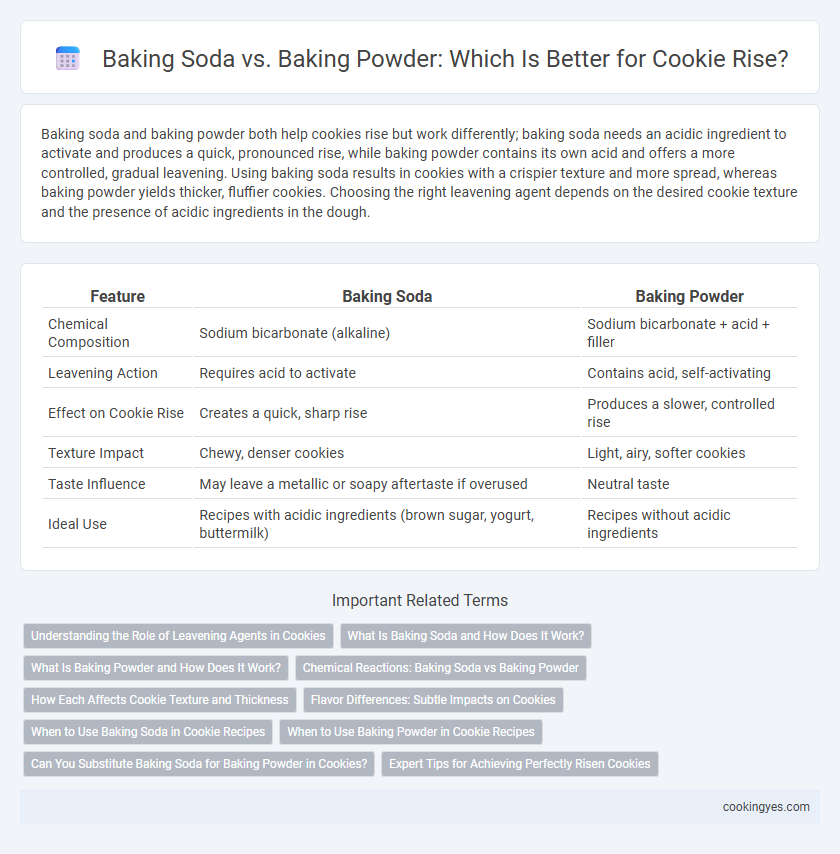 Baking Soda vs. Baking Powder: Which Is Better for Cookie Rise?