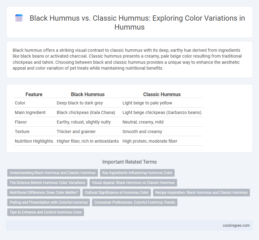 Black Hummus vs. Classic Hummus: Exploring Color Variations in Hummus