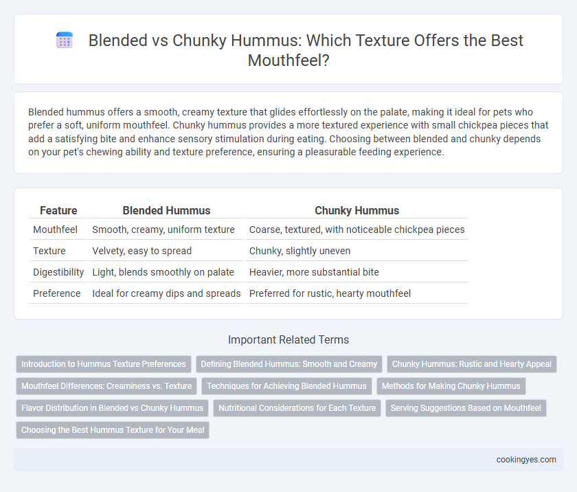 Blended vs Chunky Hummus: Which Texture Offers the Best Mouthfeel?