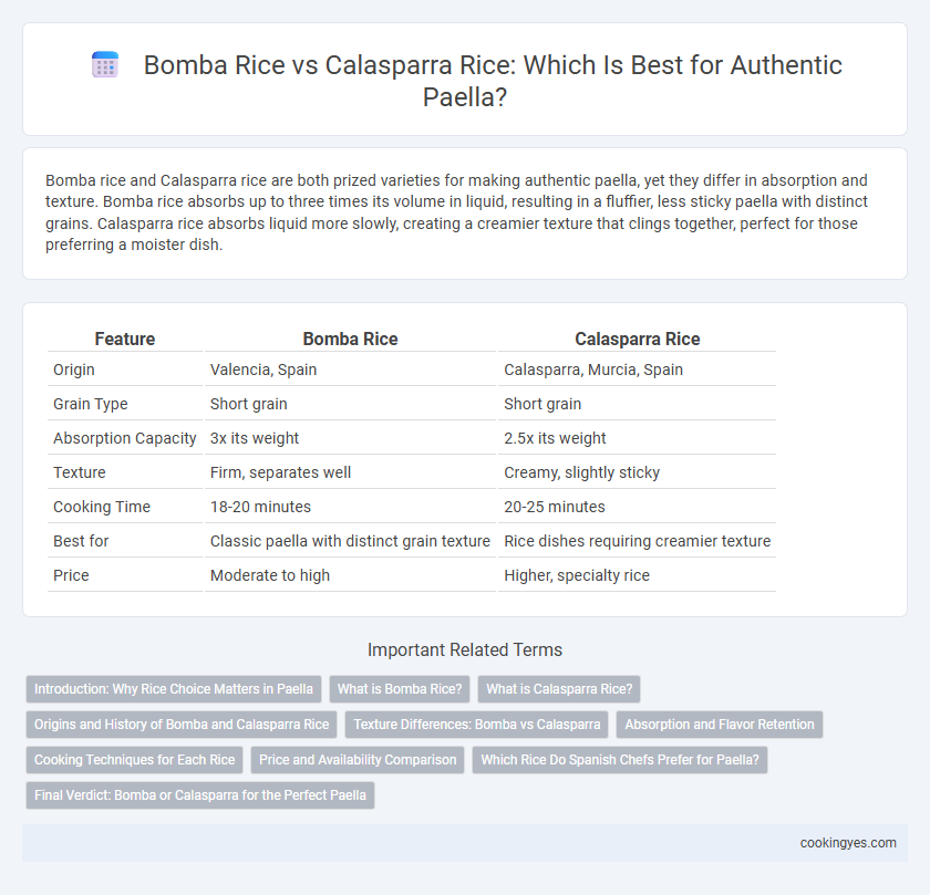 Bomba Rice vs Calasparra Rice: Which Is Best for Authentic Paella?