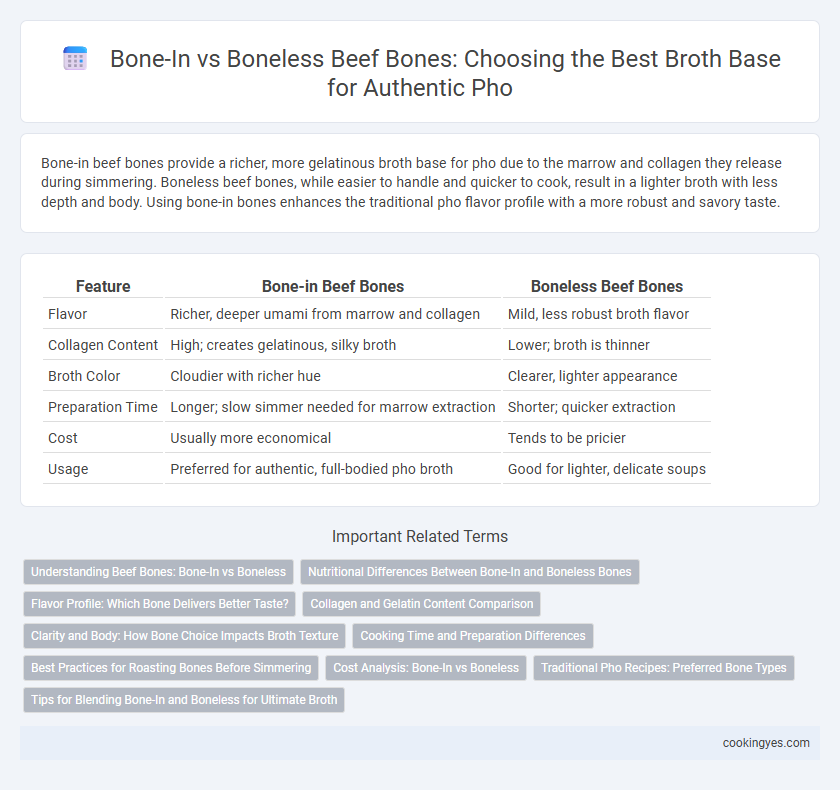Bone-In vs Boneless Beef Bones: Choosing the Best Broth Base for Authentic Pho