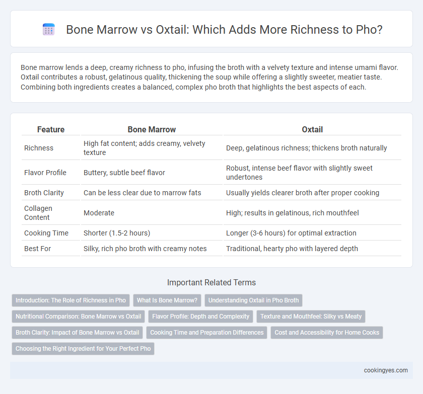 Bone Marrow vs Oxtail: Which Adds More Richness to Pho?