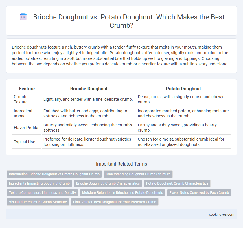 Brioche Doughnut vs. Potato Doughnut: Which Makes the Best Crumb?