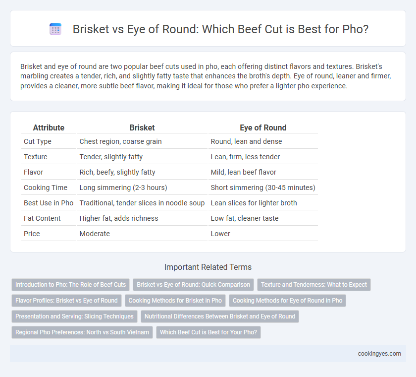 Brisket vs Eye of Round: Which Beef Cut is Best for Pho?