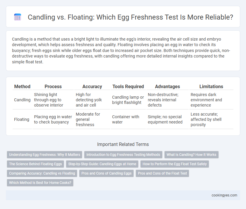Candling vs. Floating: Which Egg Freshness Test Is More Reliable?