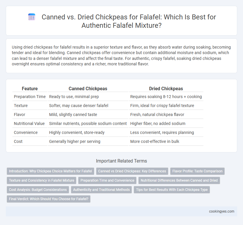 Canned vs. Dried Chickpeas for Falafel: Which Is Best for Authentic Falafel Mixture?