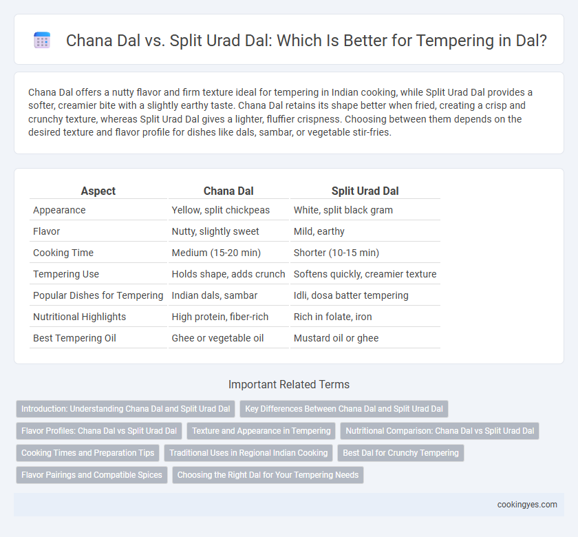 Chana Dal vs. Split Urad Dal: Which Is Better for Tempering in Dal?