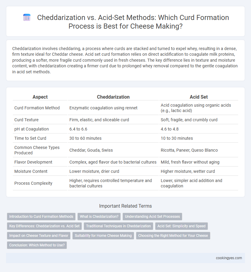 Cheddarization vs. Acid-Set Methods: Which Curd Formation Process is Best for Cheese Making?
