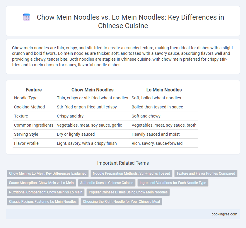 Chow Mein Noodles vs. Lo Mein Noodles: Key Differences in Chinese Cuisine