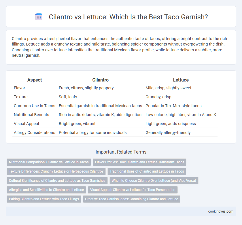Cilantro vs Lettuce: Which Is the Best Taco Garnish?