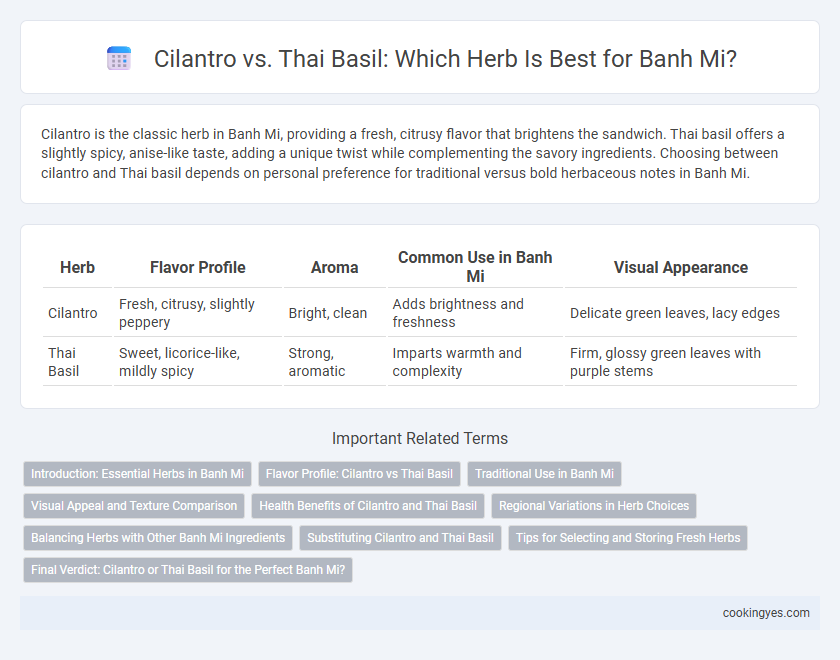 Cilantro vs. Thai Basil: Which Herb Is Best for Banh Mi?